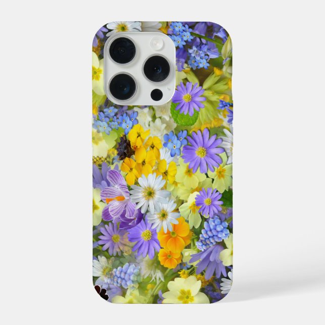 Daisy ,Primrose, Daffodil Flowers iPhone Case (Back)