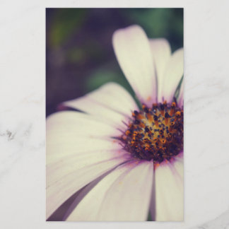 Daisy print. stationery