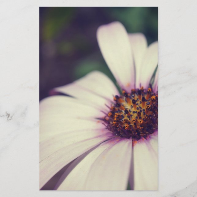 Daisy print. stationery (Front)