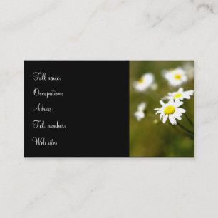 Daisy Profile Card