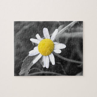 Daisy Puzzle