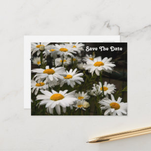 Daisy Save The Date Postcard
