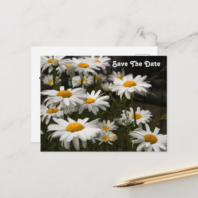 Daisy Save The Date Postcard (Front/Back In Situ)