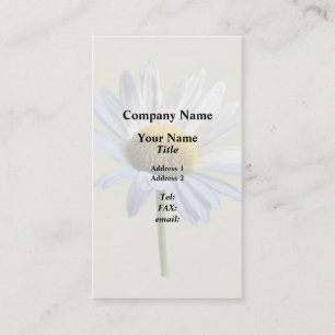 Daisy Shadow and Light Business Card