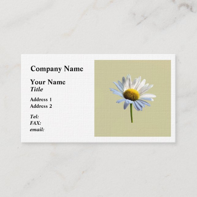 Daisy Shadow and Light Business Card (Front)