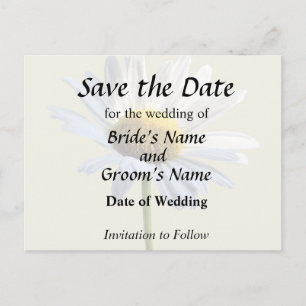Daisy Shadow and Light Wedding Supplies Announcement Postcard
