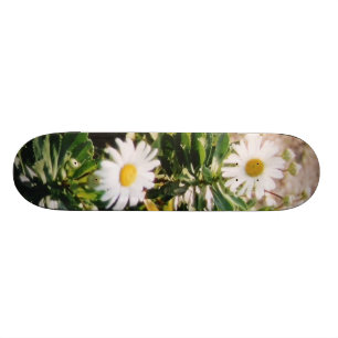 DAISY SKATEBOARD