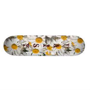 Daisy skateboard template