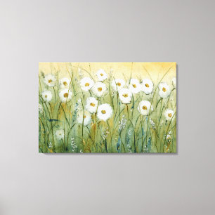Daisy Spring I Canvas Print