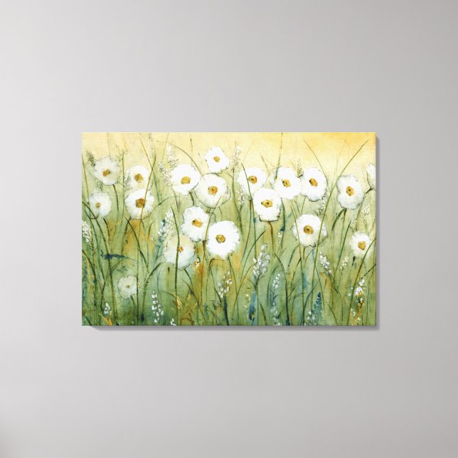 Daisy Spring I Canvas Print (Front)