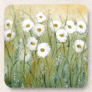 Daisy Spring I Coaster