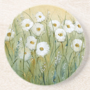 Daisy Spring I Coaster