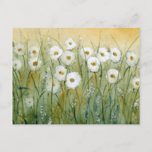 Daisy Spring I Postcard