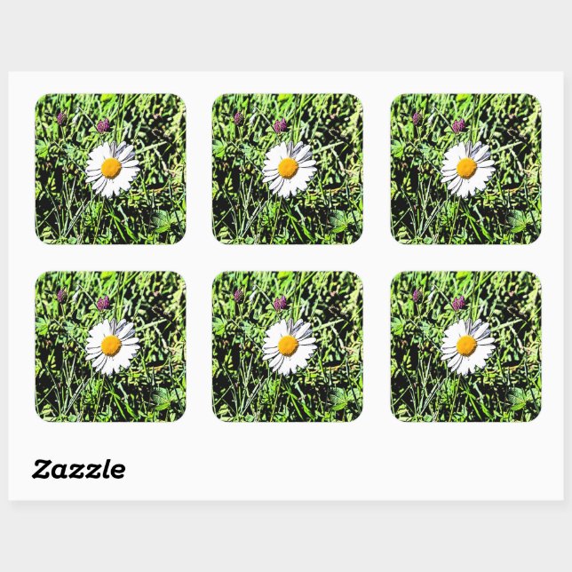 Daisy Square Sticker (Sheet)