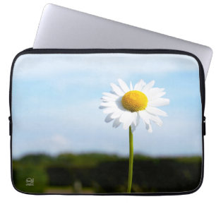 Daisy standing upright in isolation in nature. laptop sleeve
