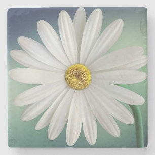 Daisy Stone Coaster