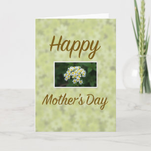 Daisy Sweet Mothers Day Card