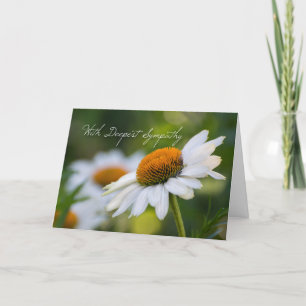 Daisy Sympathy Card