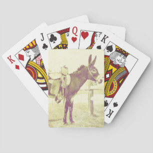 Daisy the saddle donkey playing cards