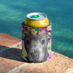 Daisy The Staffordshire Bull Terrier Puppy, Can Cooler