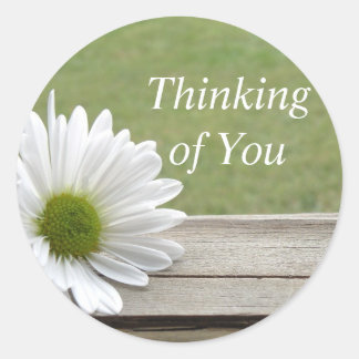 Daisy Theme Classic Round Sticker