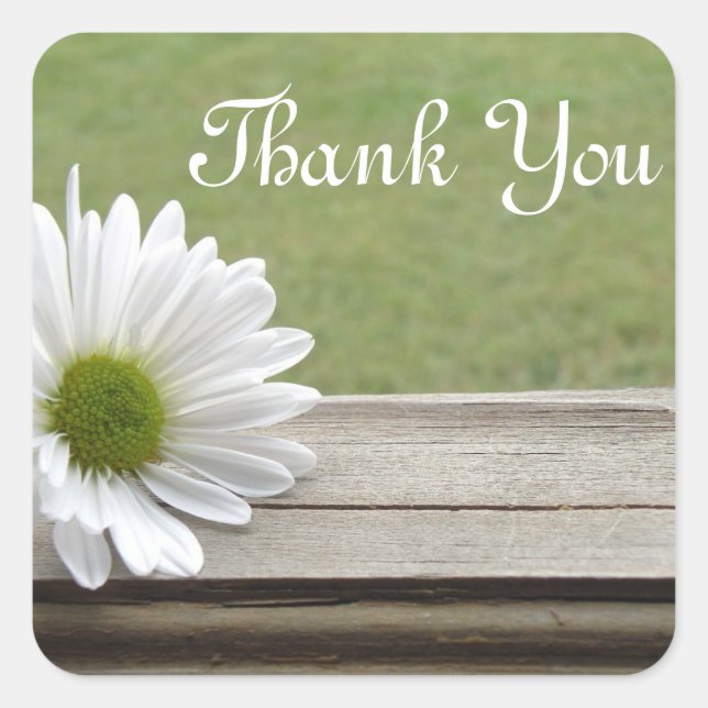 Daisy Theme Square Sticker (Front)