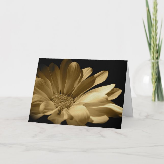 Daisy - Thinking of You Card (Front)