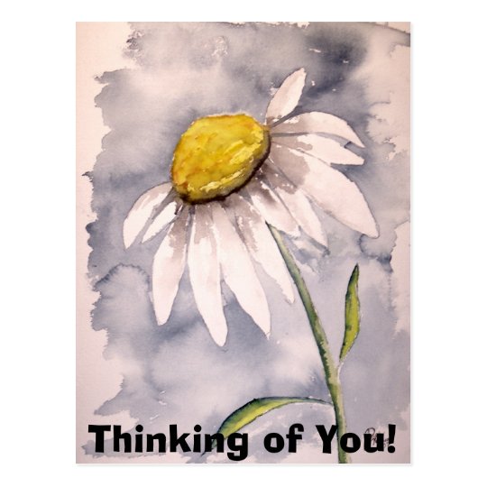daisy, Thinking of You! Postcard