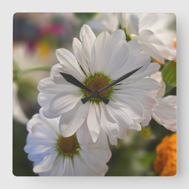 Daisy Time Square Wall Clock (Front)