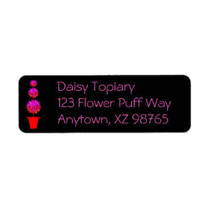 Daisy Topiary
