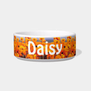 Daisy Water Bowl for Your Pet in Yellow