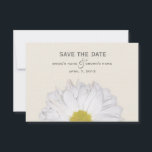 Daisy Wedding Save The Date<br><div class="desc">A wedding save the date card featuring an image of a daisy at bottom.  Personalise the text with details of your occasion.</div>