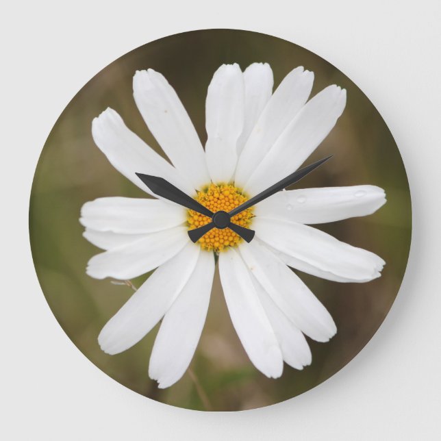 Daisy with a Rain Droplet Wall Clock (Front)