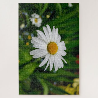 Daisy with Water Puzzle