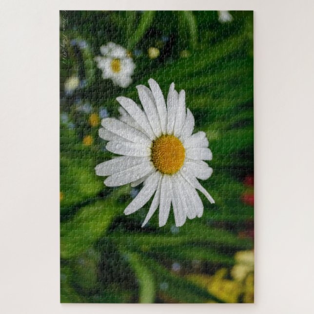 Daisy with Water Puzzle (Vertical)