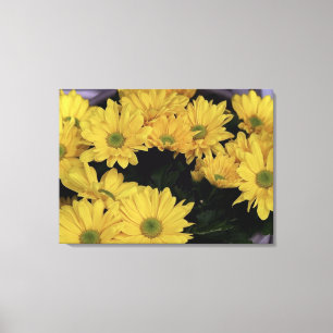 Daisy Yellow Flowers Flora Photo Prints