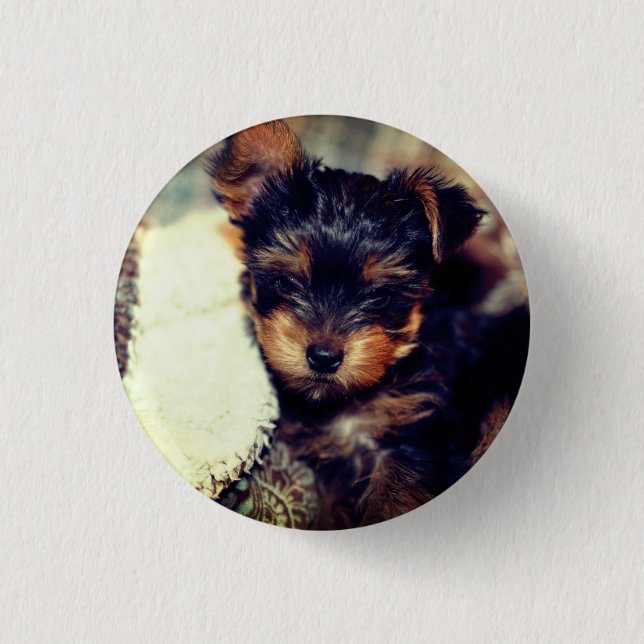 Daisy Yorke Pup, Small, 1¼ Inch Round Button (Front)