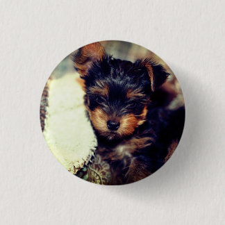 Daisy Yorke Pup, Small, 1¼ Inch Round Button