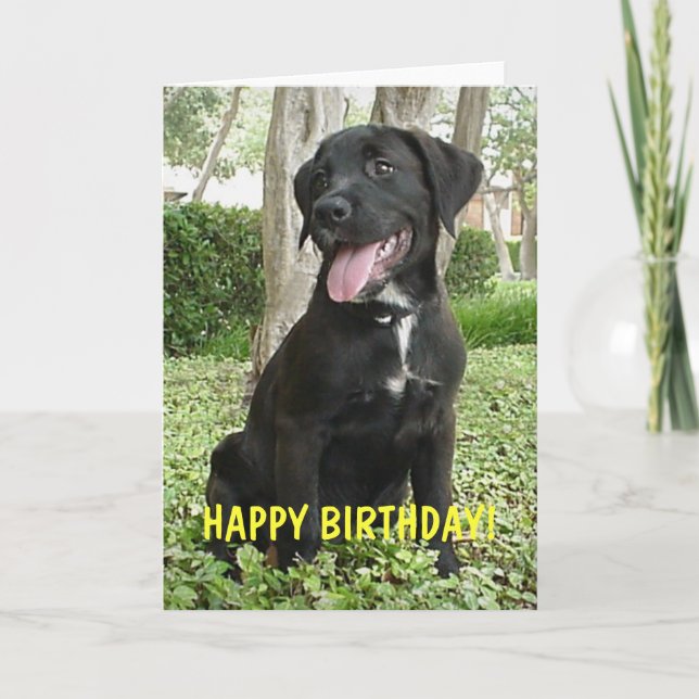 Dakota - Happy Birthday Card (Front)