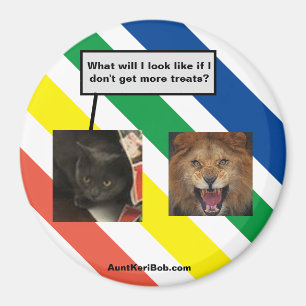Dakota in the future magnet