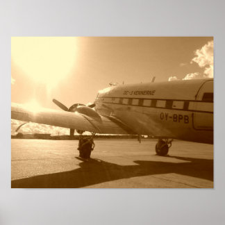 "Dakota Longing For The Sky In The Evening Sun" Poster