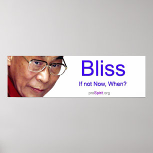 Dalai Lama - Enlightenment Poster