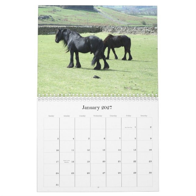 Dales Pony 2012 Calendar (Jan 2027)