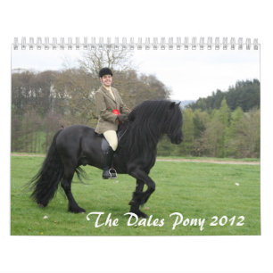 Dales Pony 2012 Calendar