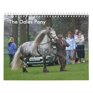 Dales Pony Calendar