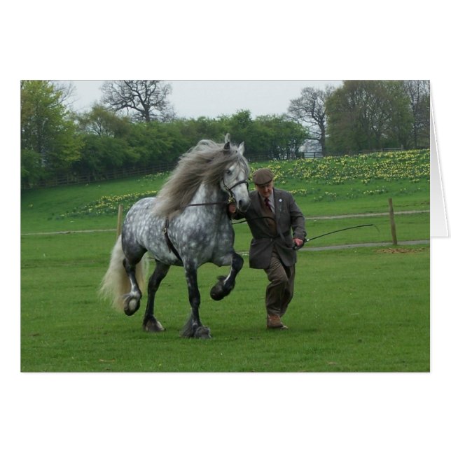 Dales Pony card (Front Horizontal)