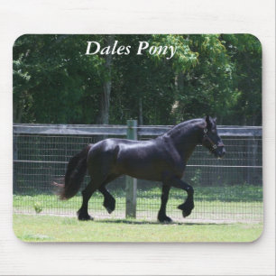 Dales Pony Trot Mouse Mat