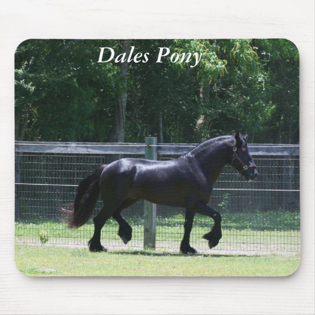 Dales Pony Trot Mouse Mat (Front)