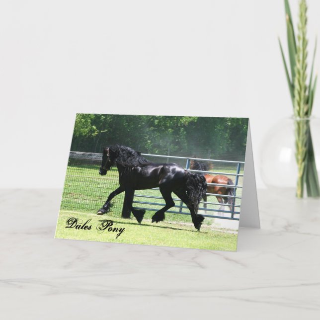 Dales Pony trotting card (Front)