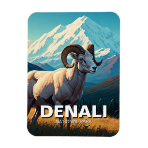 Dall Sheep in Denali National Park Alaska Magnet